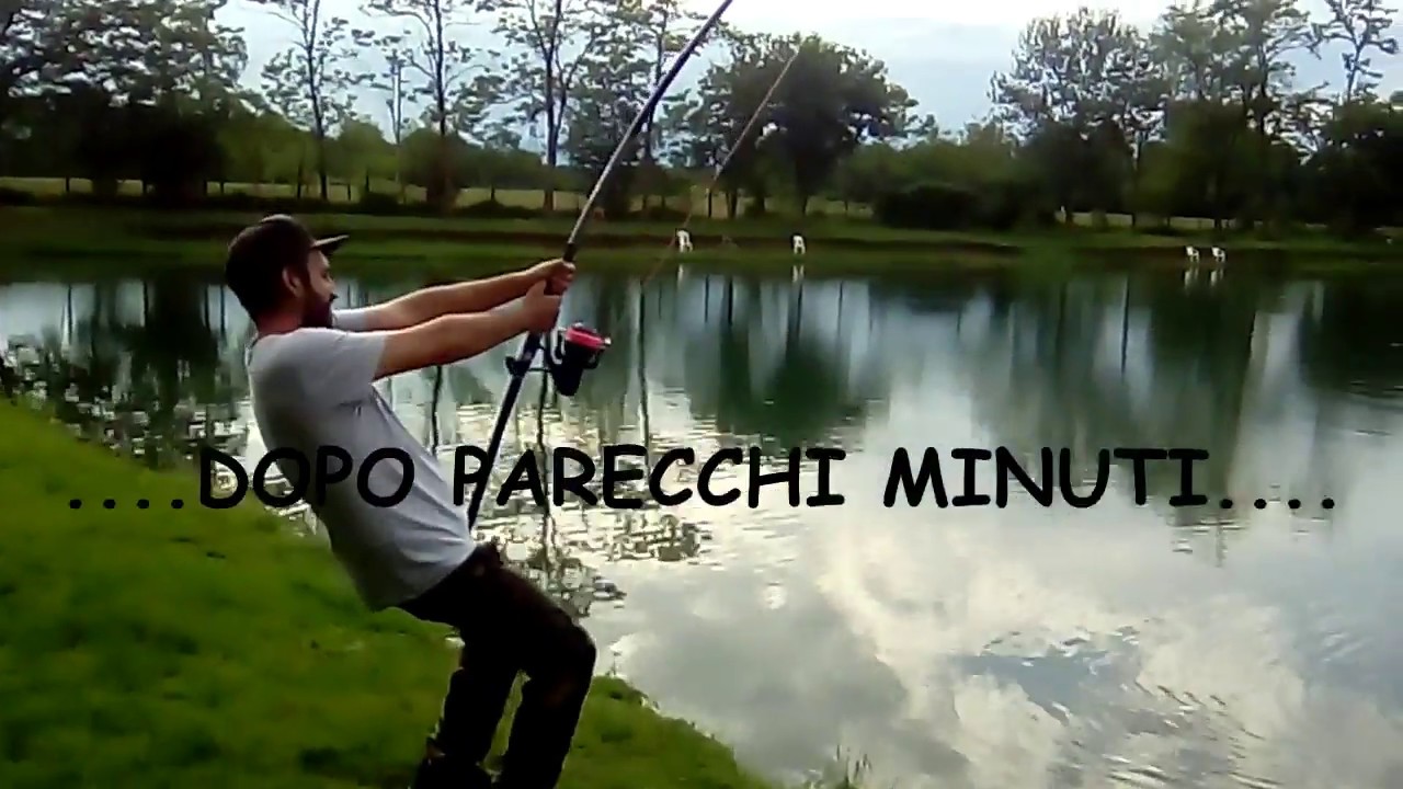 Storione di 70 Kg. Monster Sturgeon