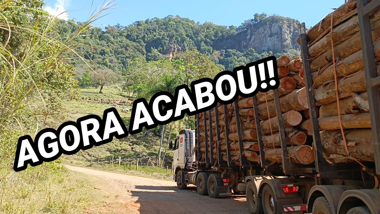 @,inédito AGORA ACABOU TUDO!! VIDA DO MADEREIRO NO TRANSPORTE DE MADEIRA.
