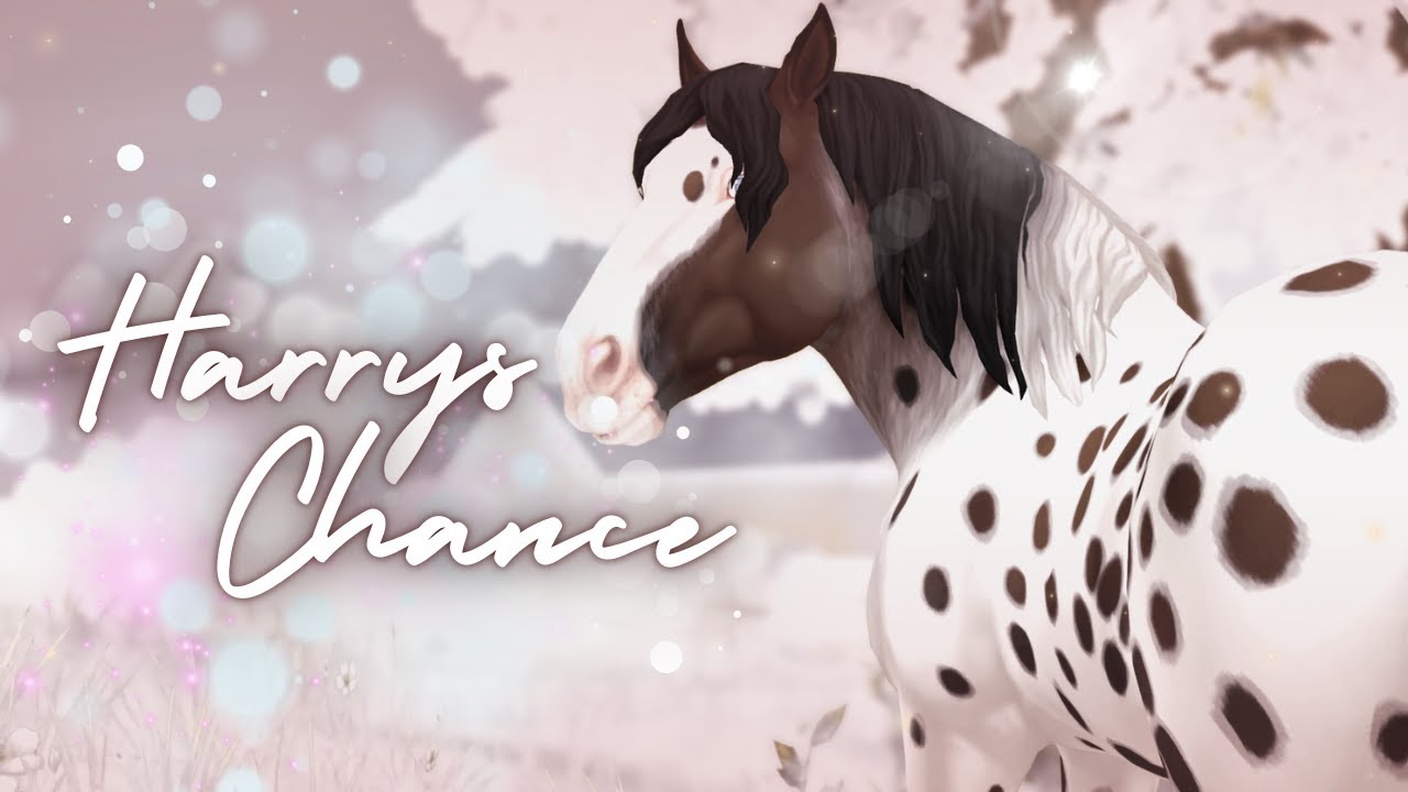 Harrys Chance || SSO RRP