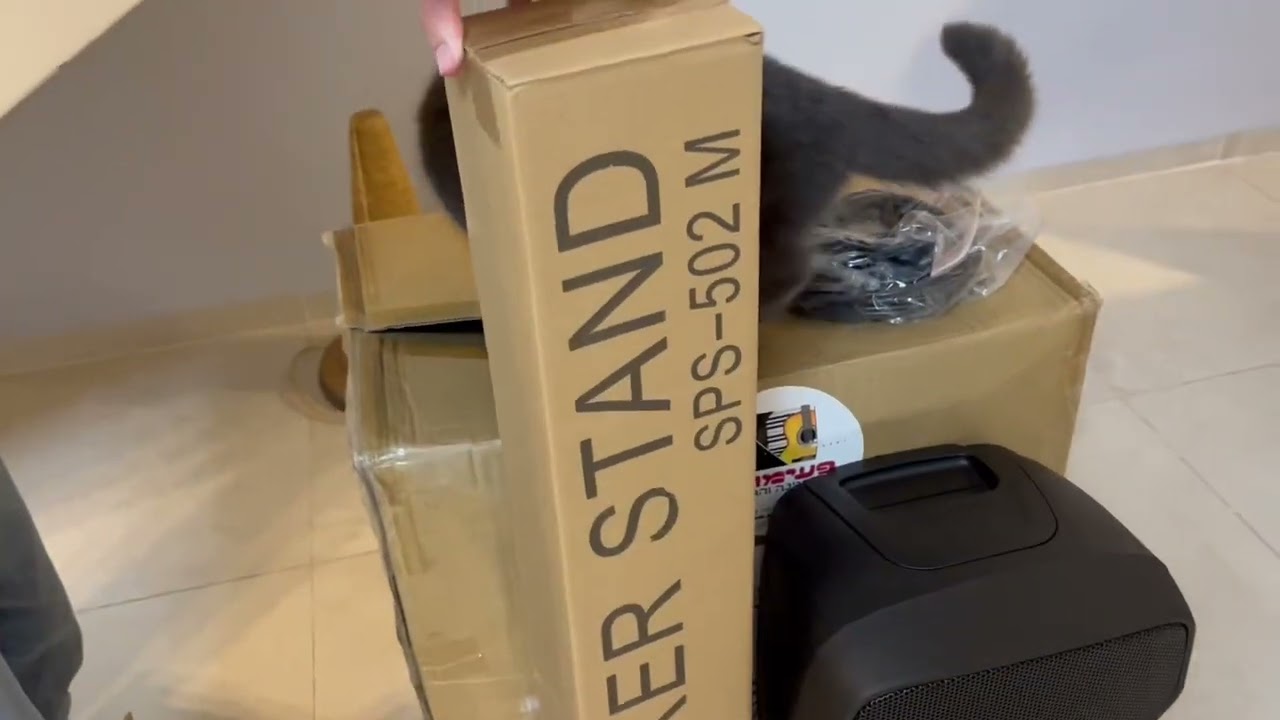 Unboxing & Review of the HH S2-210 Sound System: Unleashing Powerful Audio!