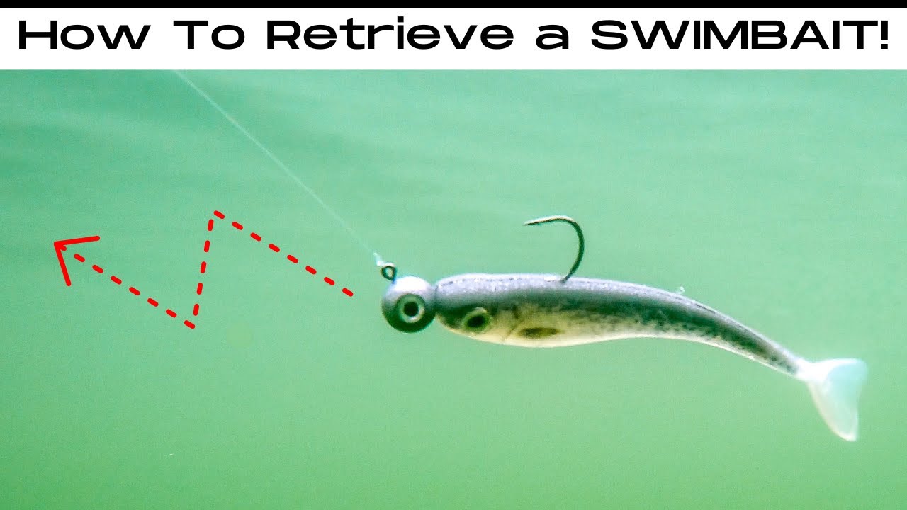 5 SWIMBAIT Retrieves That ALWAYS Get BITES!