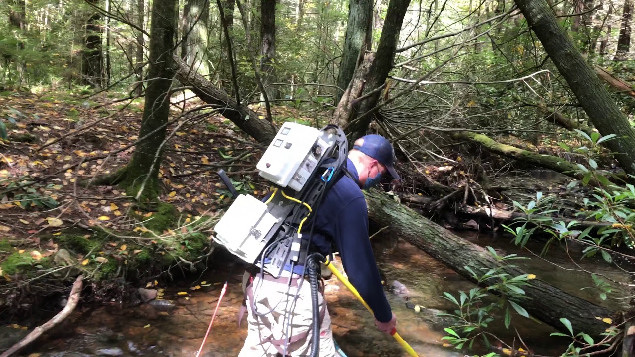 Wild Trout Survey