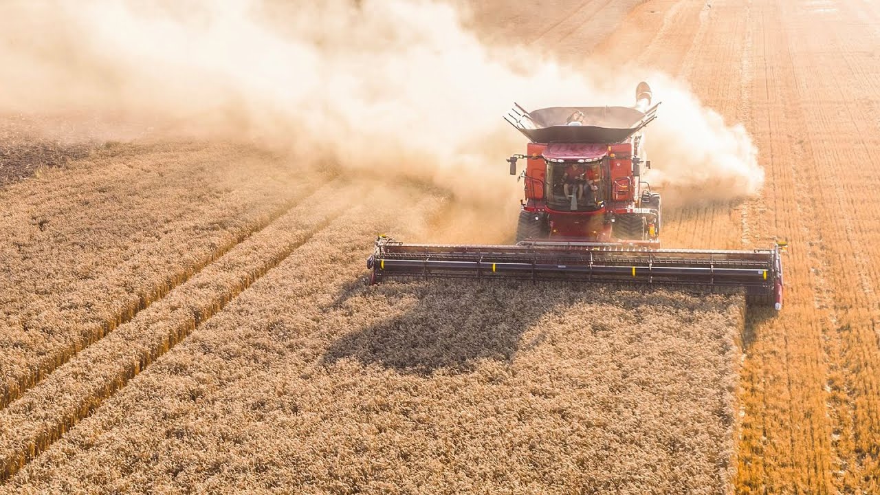 CASE Axial- Flow 8250 - Pokazy