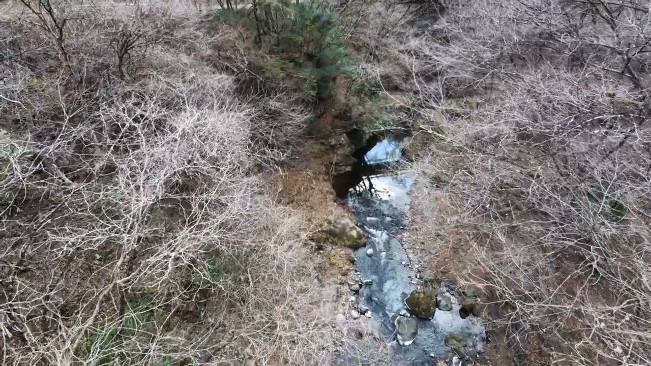 小菅村20260124