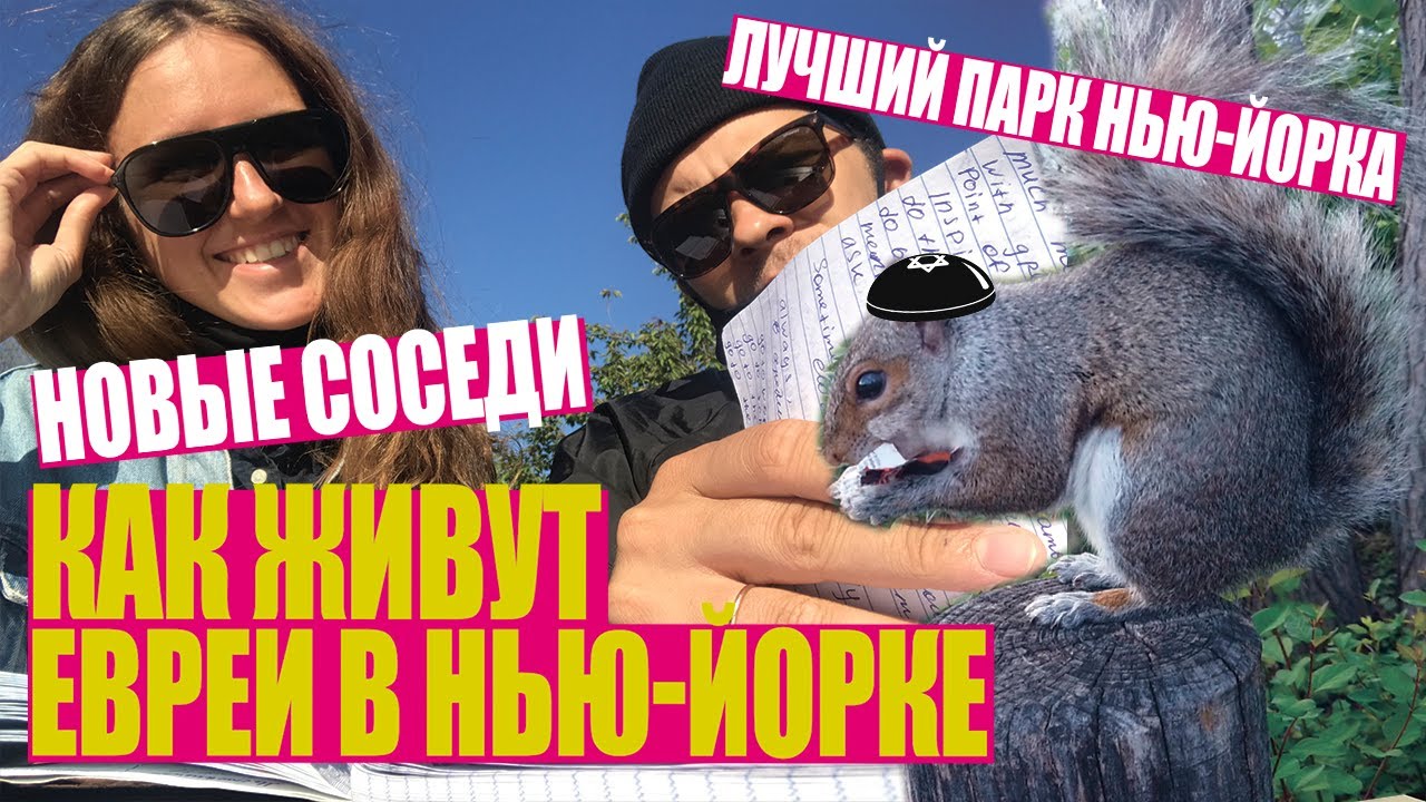 Как живут евреи в Нью-Йорке? Прогулка по лучшему парку в городе. У нас новые соседи!