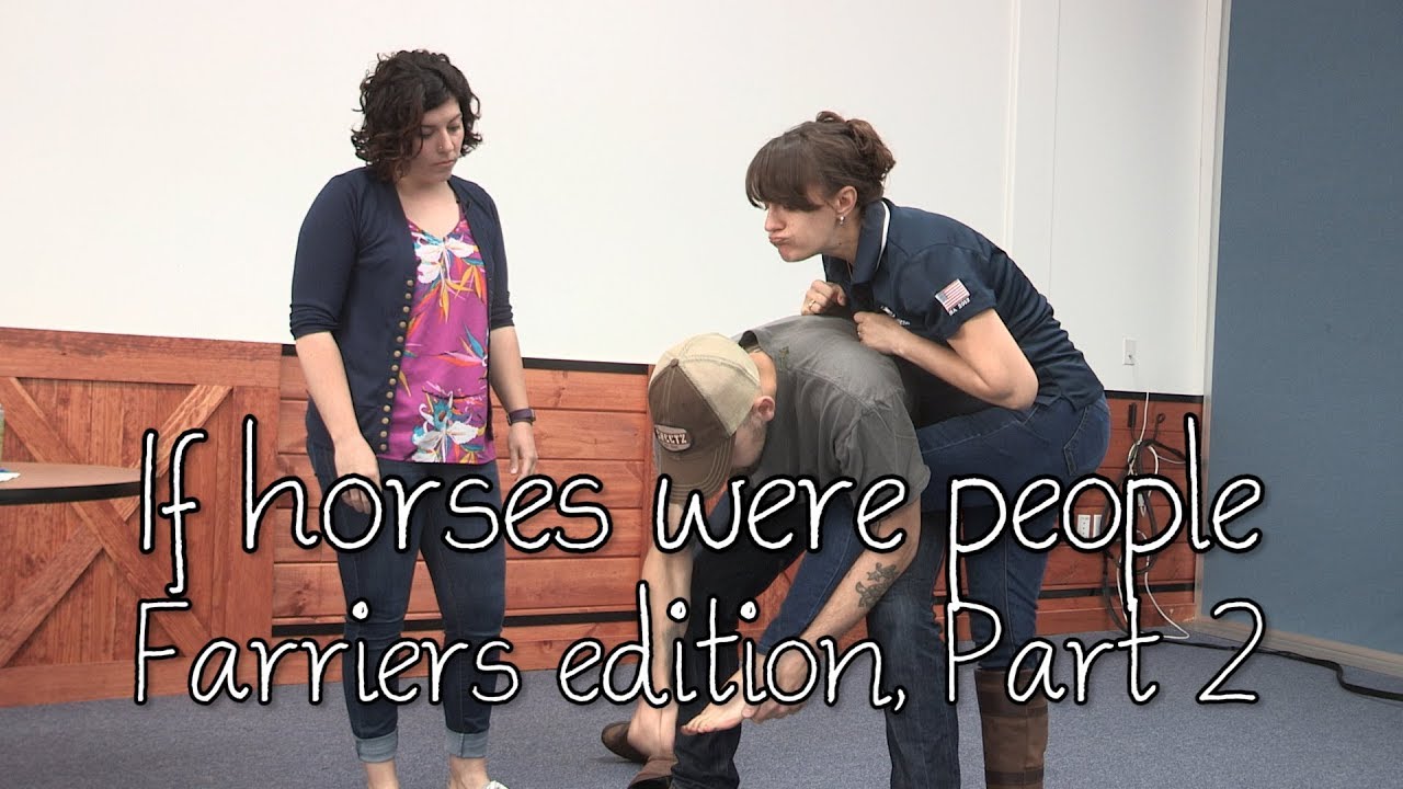 If horses were people - Farriers edition, Part 2