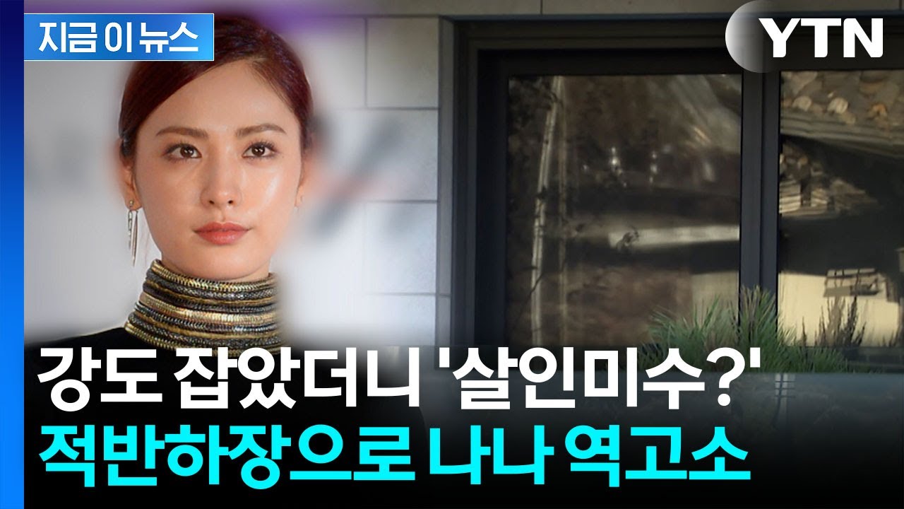 흉기 든 강도 제압한 나나...되레 '살인미수' 역고소 봉변 [지금이뉴스] / YTN