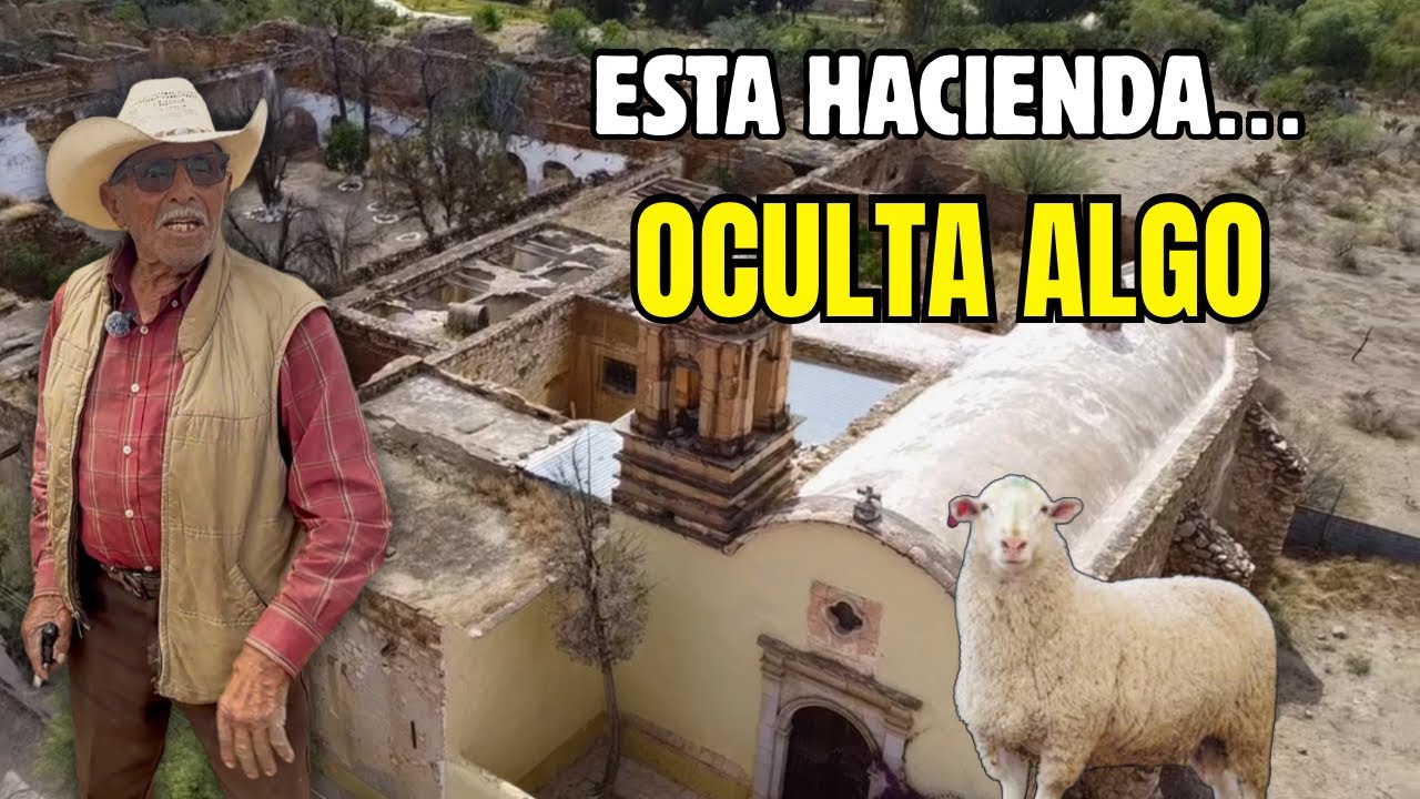 “Trabajé toda mi vida en la Hacienda de Tetillas…” 😱 | Historia real en Río Grande, Zacatecas