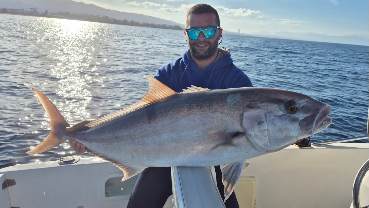 Ricciola di branco Strike in diretta