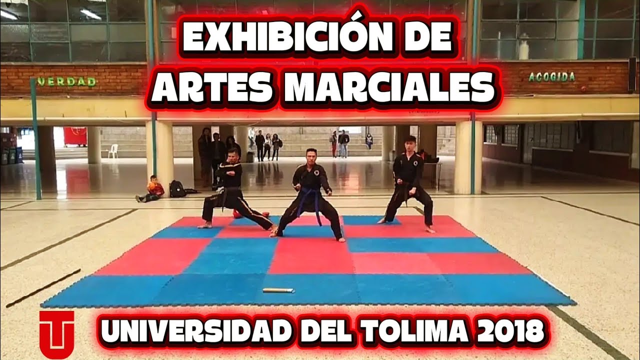 EXHIBICIÓN DE ARTES MARCIALES UNIVERSIDAD DEL TOLIMA 2018