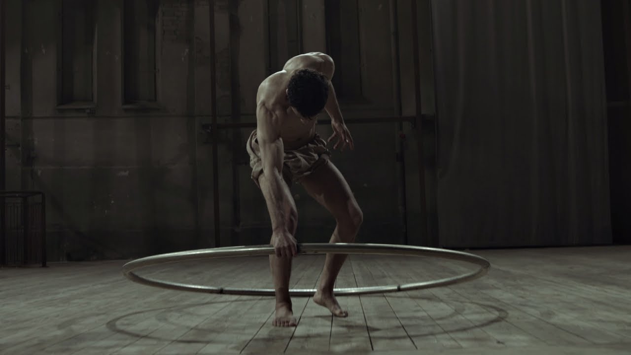 Vitruvian Man Leonardo da Vinci Cyr Wheel 2017
