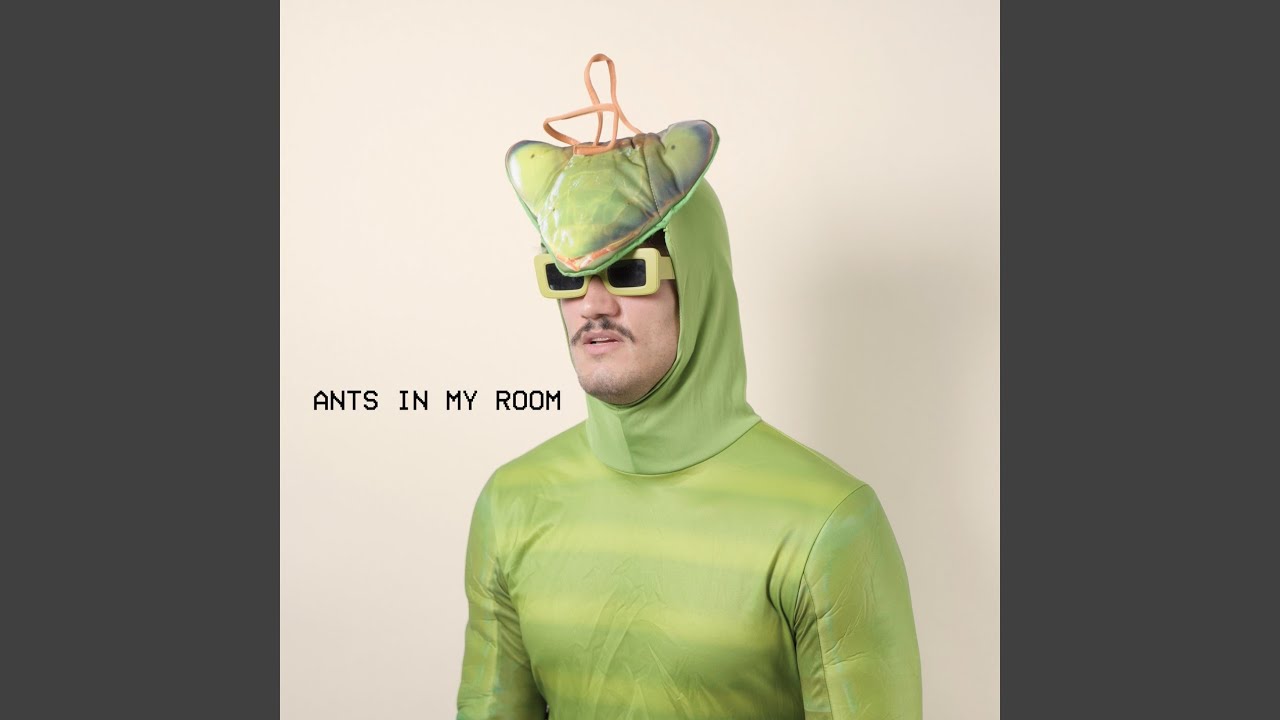 Ants In My Room