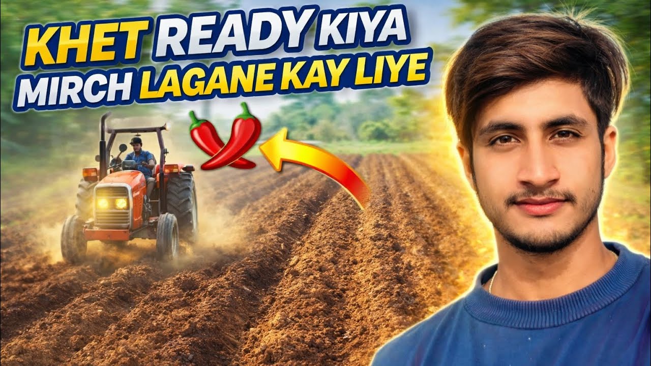 Khat May Mirch Lagana | Hal Chalate Hue Mazedar Video 🌶️