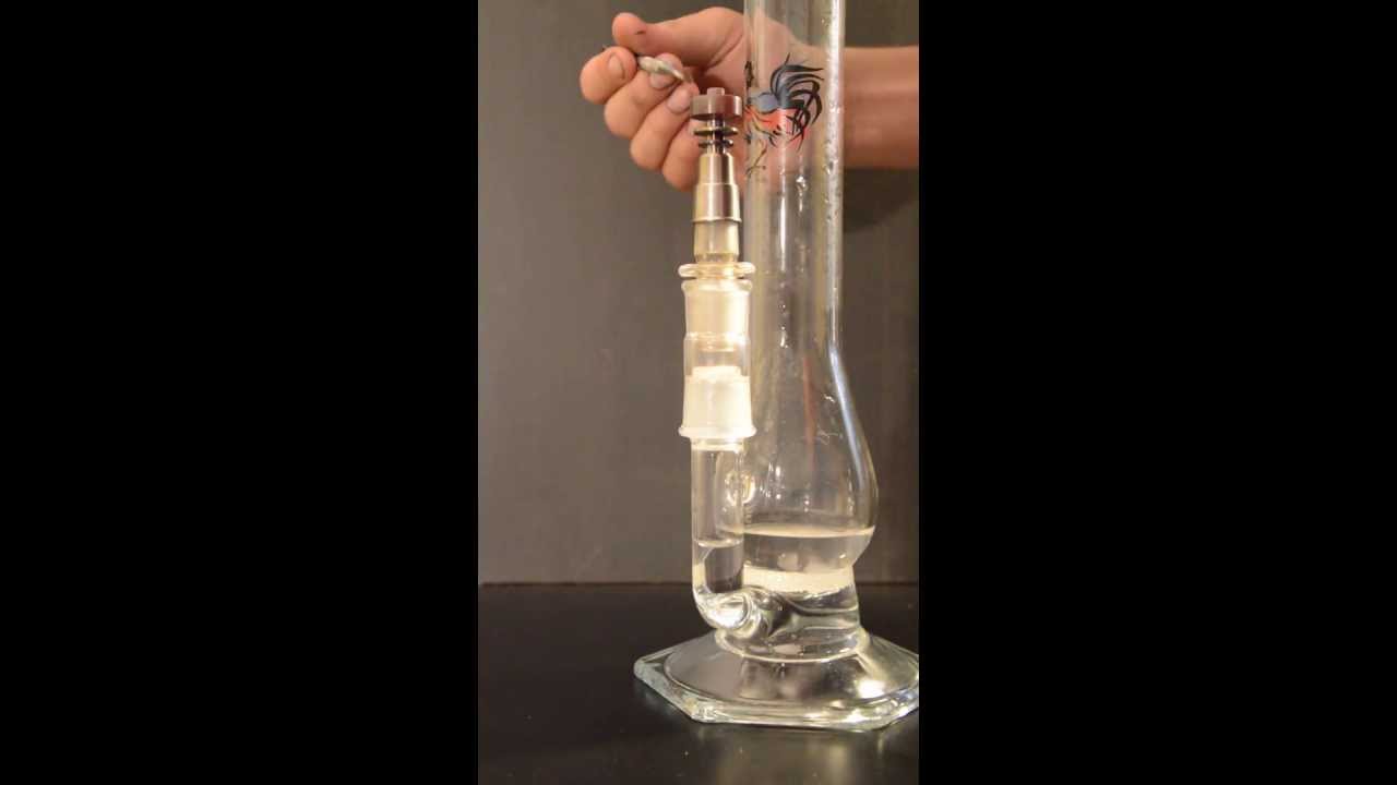 David Goldstein Rooster Apparatus Dab Close-Up