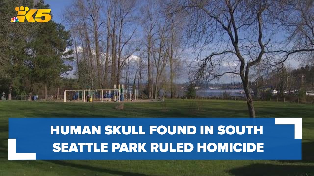 Human skull found in south Seattle park ruled a homicide