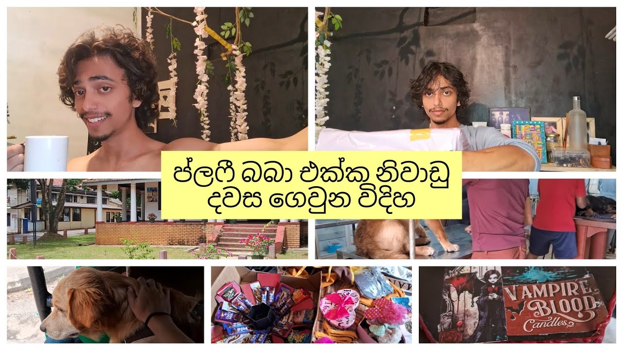 🛺🐕 කමුද බිරියානි එකක් / නිවාඩු දවසක් , හැබැයි ප්ලෆී එක්ක 🏜️🥫🍫