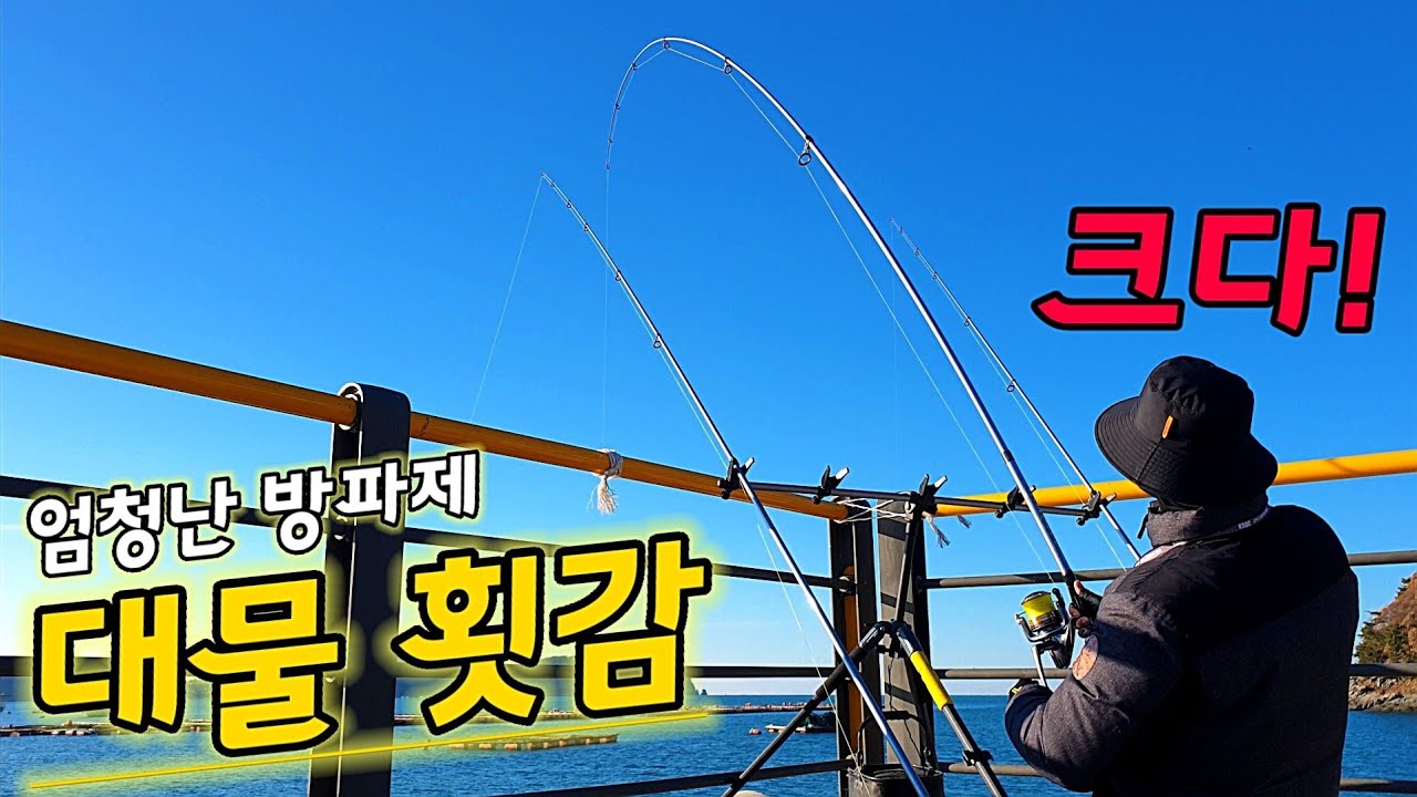 ※아는 사람만 잡아먹는 별미 끝판왕 묵직한 손맛 쏟아진다 직접잡아 바로먹는 안주사냥 자급자족 여행 방파제 원투낚시