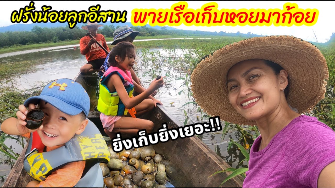 Ep.14 พาฝรั่งน้อยเก็บหอยเชอรี่มาก้อยแซบๆ บุกสวนยางพาราครั้งแรก Apple Snails for dinner in Thailand