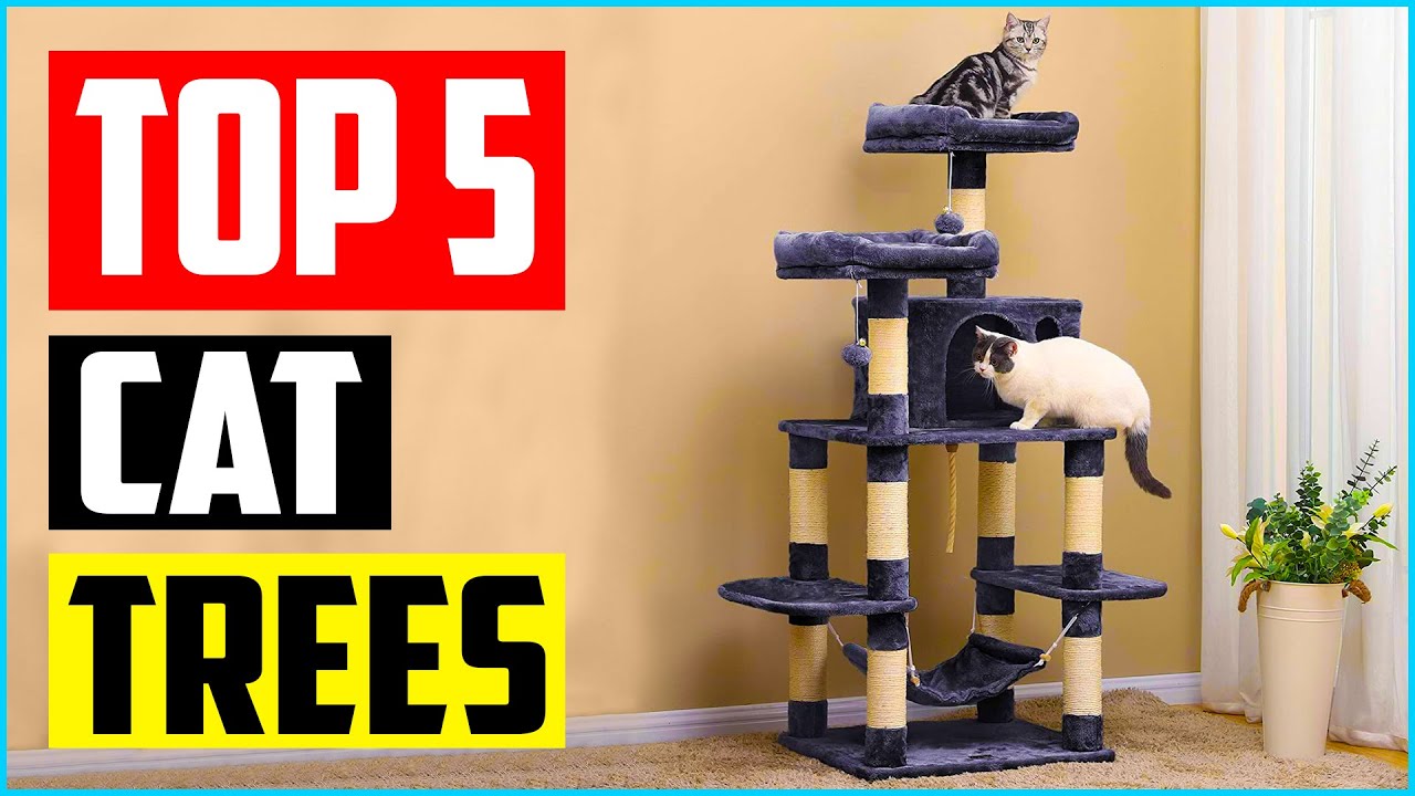 Top 5 Best Cat Trees for Multiple Cats of 2021 Review