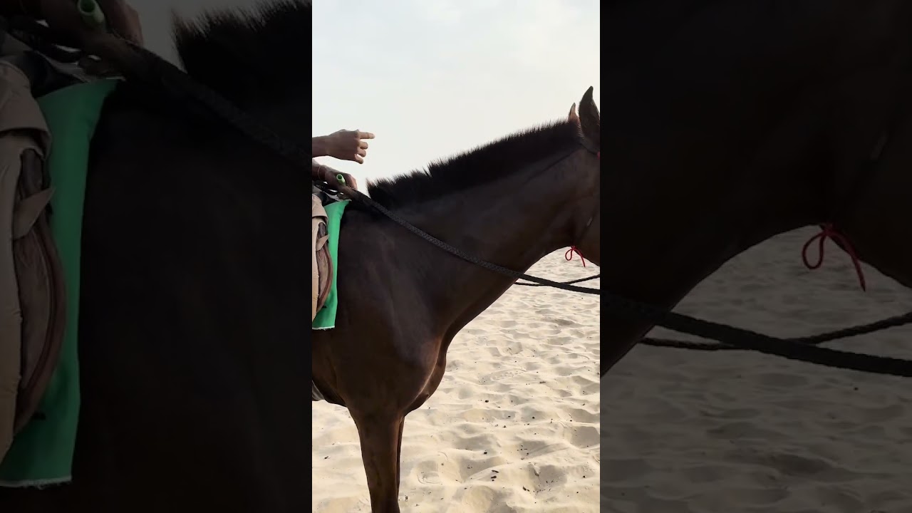 What I did in Accra, Ghana&hellip; Day 3 of my Holiday&hellip; #travel #vacation #accra #ghana