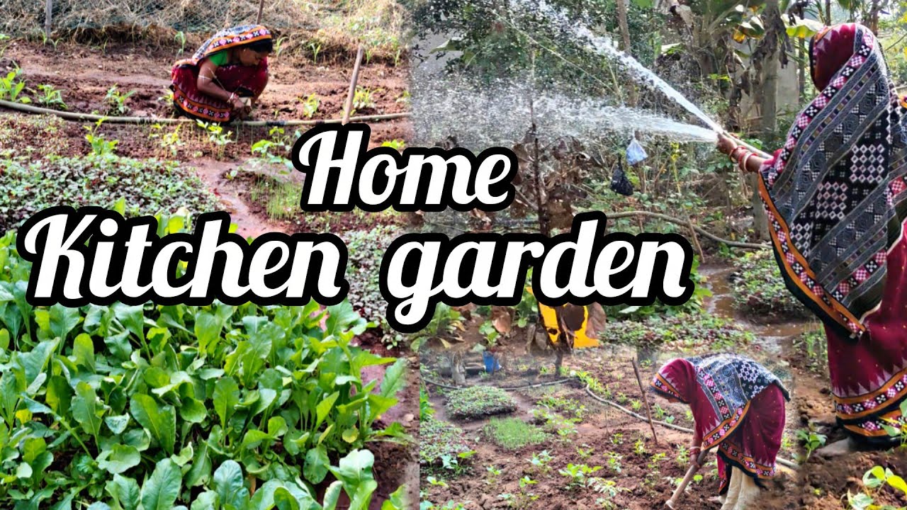 My Home kitchen garden 🏡||sabji bagicha||
