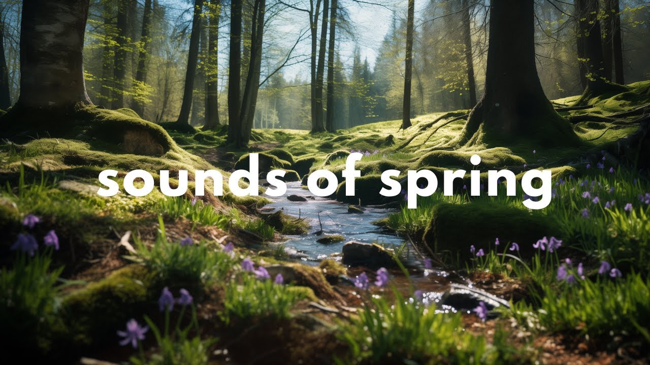 Spring Forest Ambience 🌿 | 3-Hour Relaxing Ambience with Birdsong and Gentle River Sounds