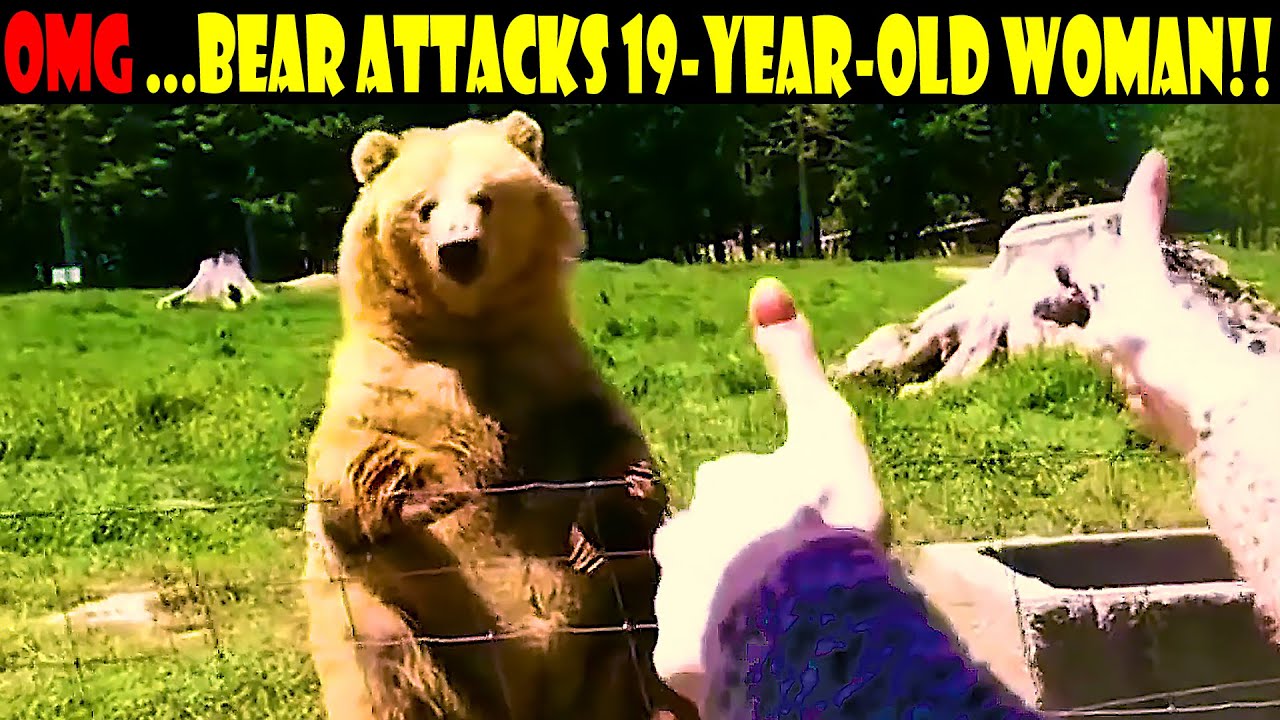 OMG....Bear attacks 19-year-old woman !! 2021  FHD