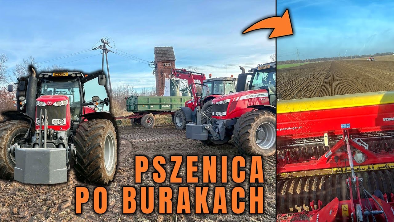 #VLOG Późny siew pszenicy po burakach/ Gwizdek odebrany z serwisu i działa jak trzeba/ 7718 Dyna6