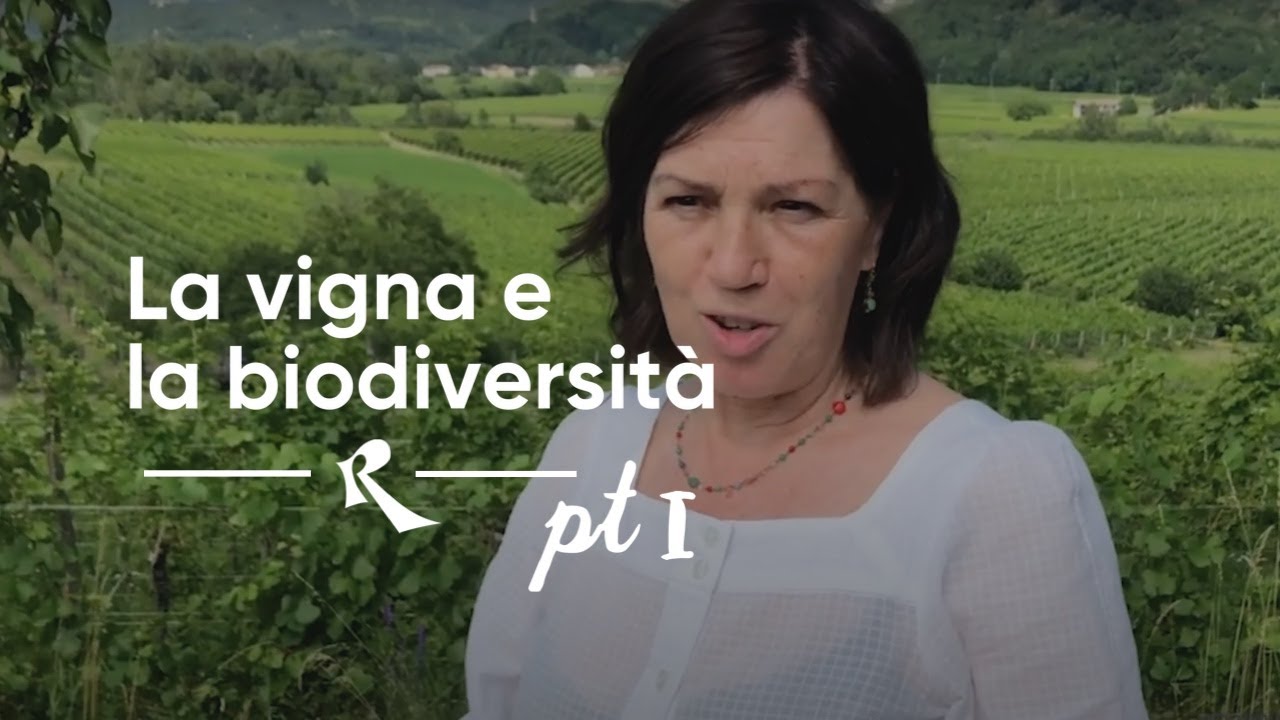 Le Due Terre, Silvana Forte - La vigna e la biodiversità Pt.1
