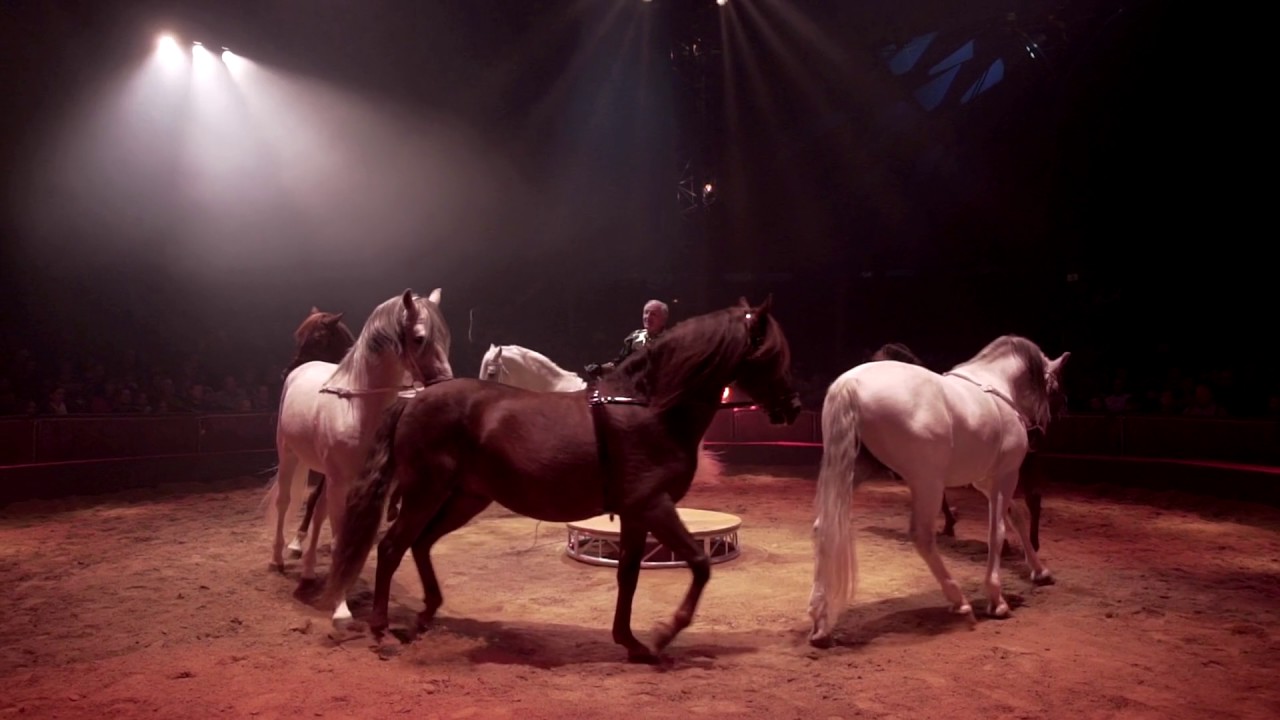 Quintessence Alexis Gruss&les Farfadais (Bande Annonce Officielle)