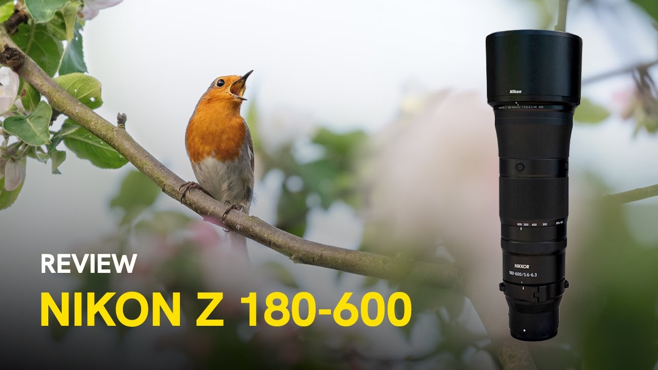 Nikon Z 180-600mm f/5.6-6.3 VR - Mein Praxistest für die Naturfotografie