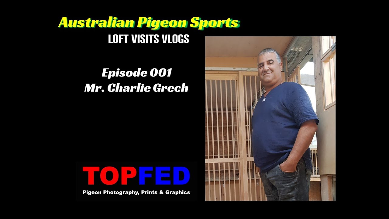 Australian Pigeon Racing - TOPFED - Episode 001   Charlie Grech