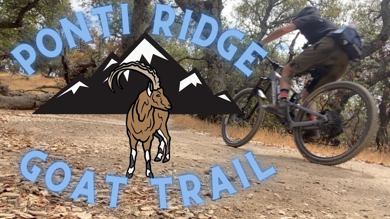 Marin Mountain Biking - Flying High in Novato! Ponti Ridge / Goat Trail