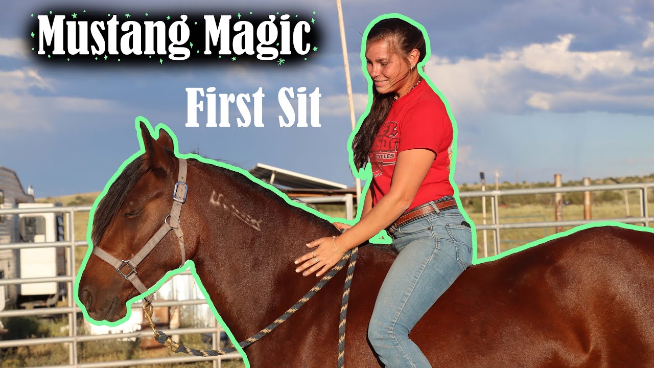 День 5: Первое знакомство с Wild Mustang | Mustang Magic 2023