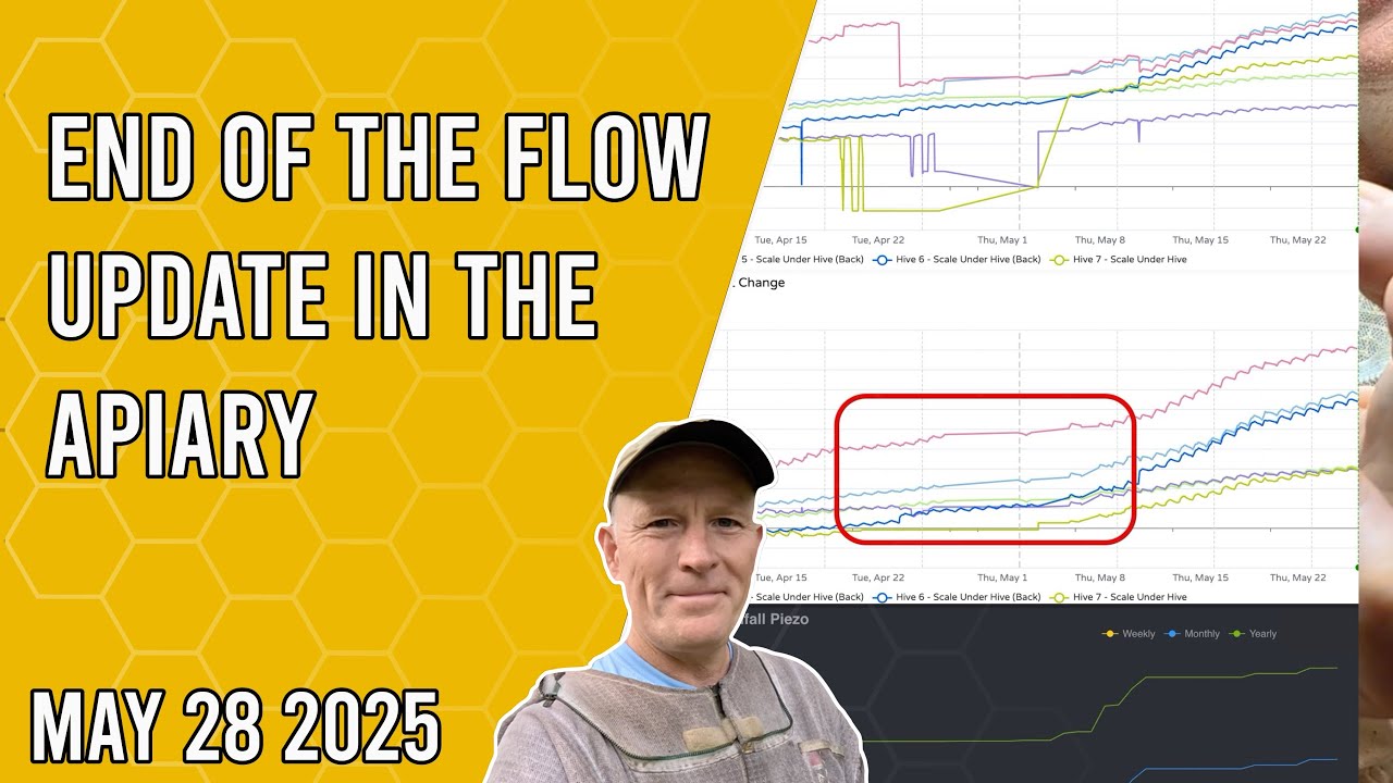 End of The Flow Apiary Updates - Jacksonville FL Zone 9b