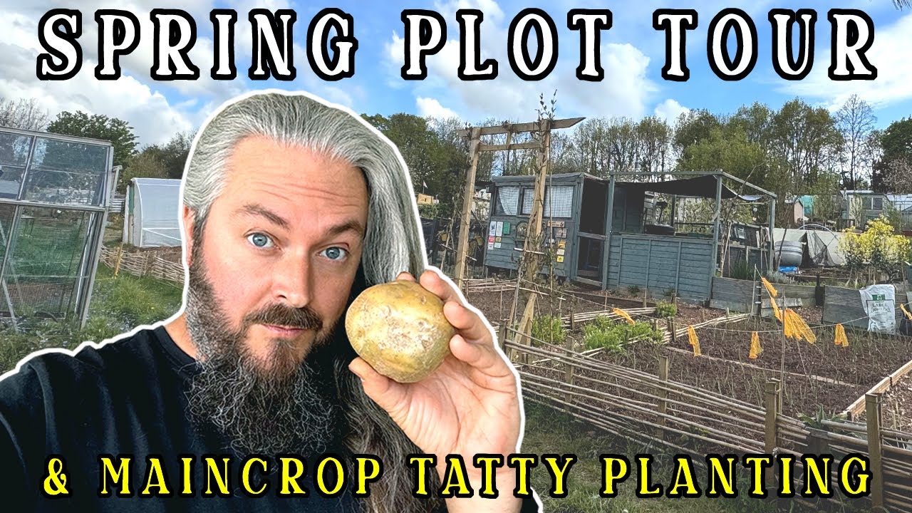 What's GROWING ON At The ALLOTMENT PLOT This Spring?