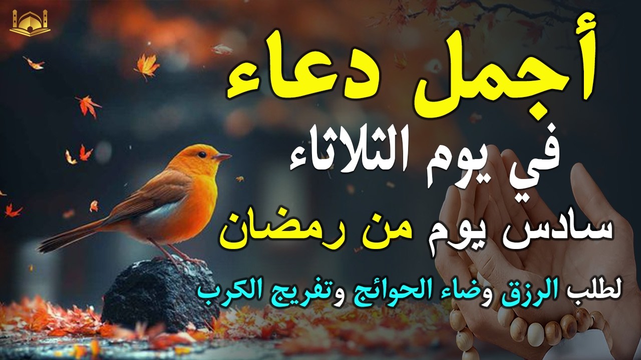 دعاء فى يوم الثلاثاء المستجاب دعاء في يوم 6 من شهر رمضان للرزق والشفاء العاجل وقضاء الحوائج 🤲(4k)
