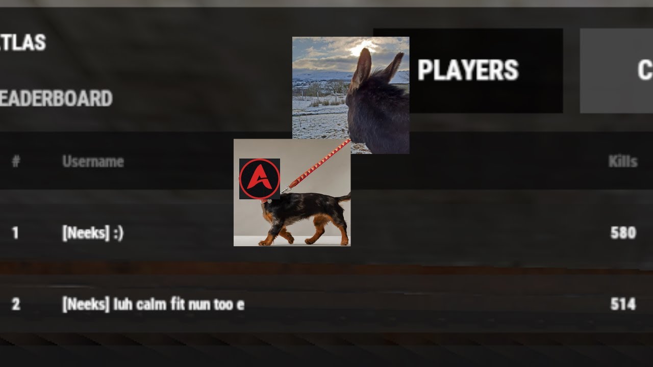 HOW TO GET 580 KILLS IN 24 HOURS // ATLAS 5X #altm
