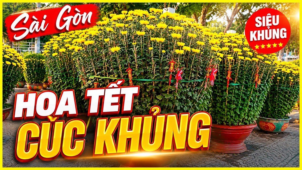 Choáng Ngợp Hoa Cúc Khổng Lồ Công Viên Gia Định