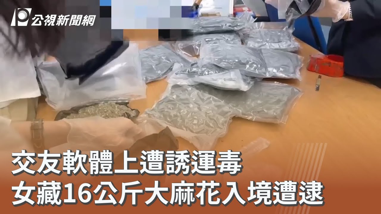 交友軟體上遭誘運毒 女藏16公斤大麻花入境遭逮 ｜20251211 公視午間新聞