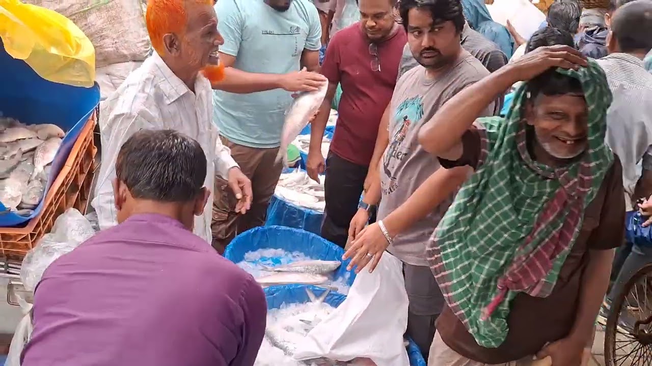 ইলিশ মাছের পাইকারি দাম 🐟 আজকের ইলিশের দাম কত, কাওরান বাজার | Hilsa (Ilish) Fish Price Today