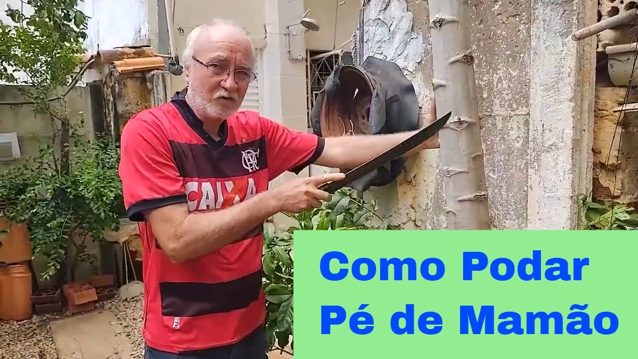 Como Fazer Poda no Pé de Mamão