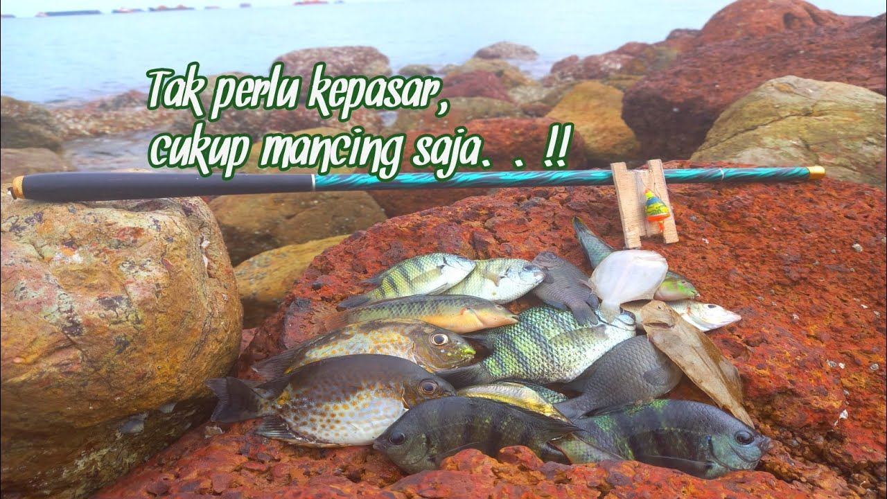 🔴Mancing tegek di laut  ||Asli,,,Jangan sampe pemancing lain tau..‼️
