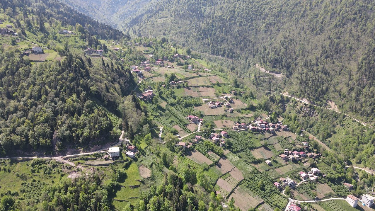 Taşgeçit (Golaşa) Köyü Bahar Güzellikleri