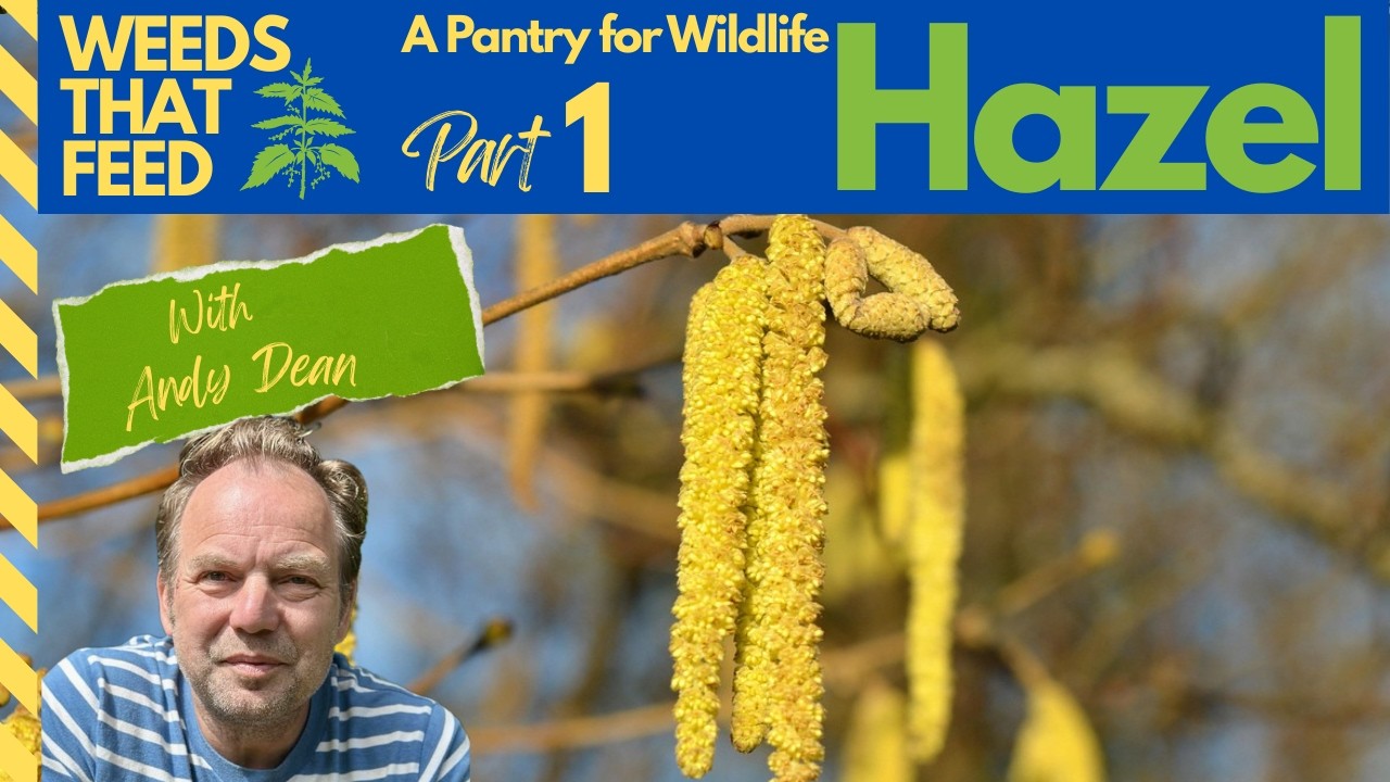 Weeds That Feed – A Pantry For Wildlife | Hazel (Part 1) Please subscribe if you like it!