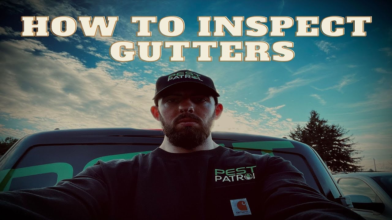 How to inspect your gutters