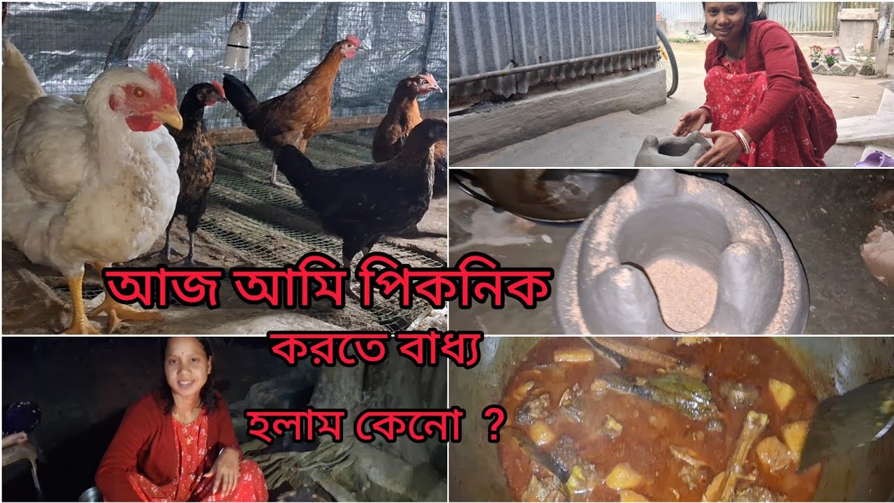 আজ আমি পিকনিক করতে বাধ্য হলাম কেনো ?কার কথা শুনে ?আমি এরকম কেনো করলাম  ?
