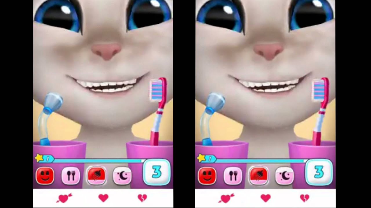 Talking Tom say yes - Funny Cat