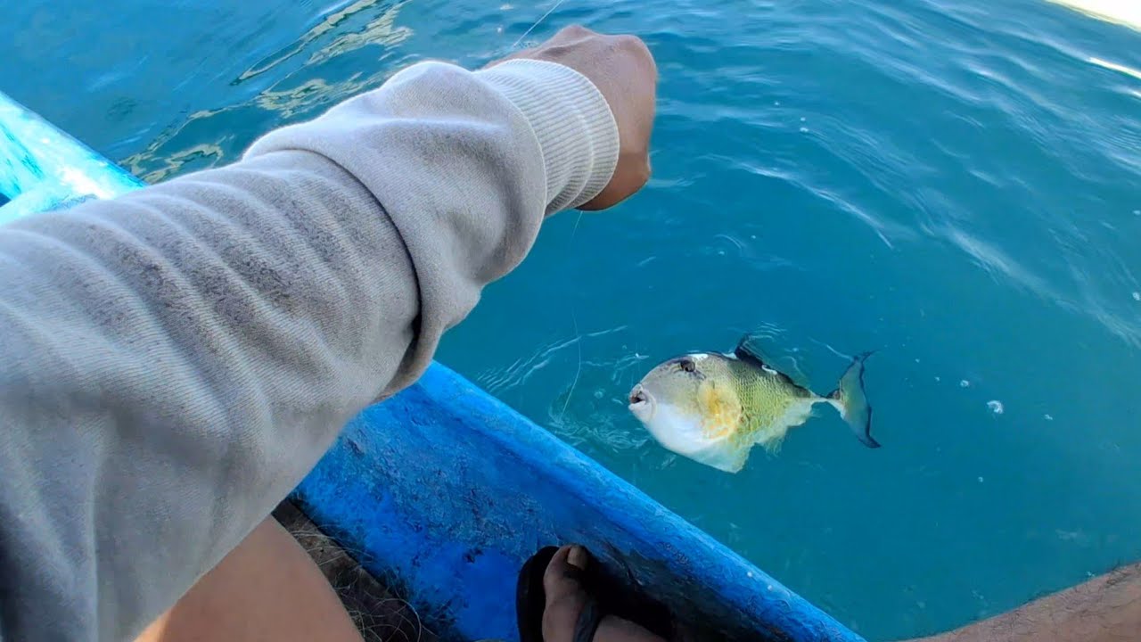 TERNYATA TARIKAN INI BEGITU DAHSYAT!! MANCING DASARAN LAUT