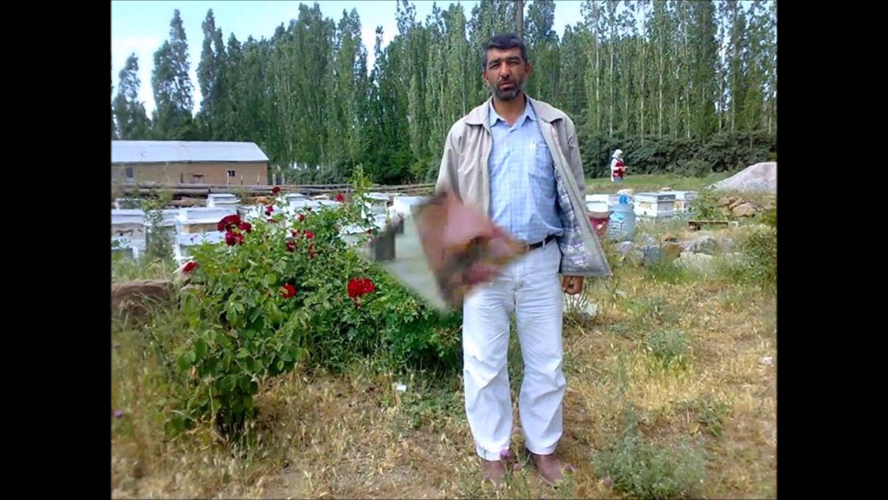 Sivas Merkez Güney Köyü [FATİH DURNA]